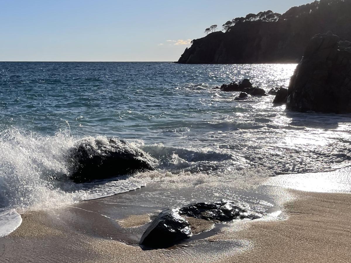 resized_1200_x_900_px_swimsurf high def